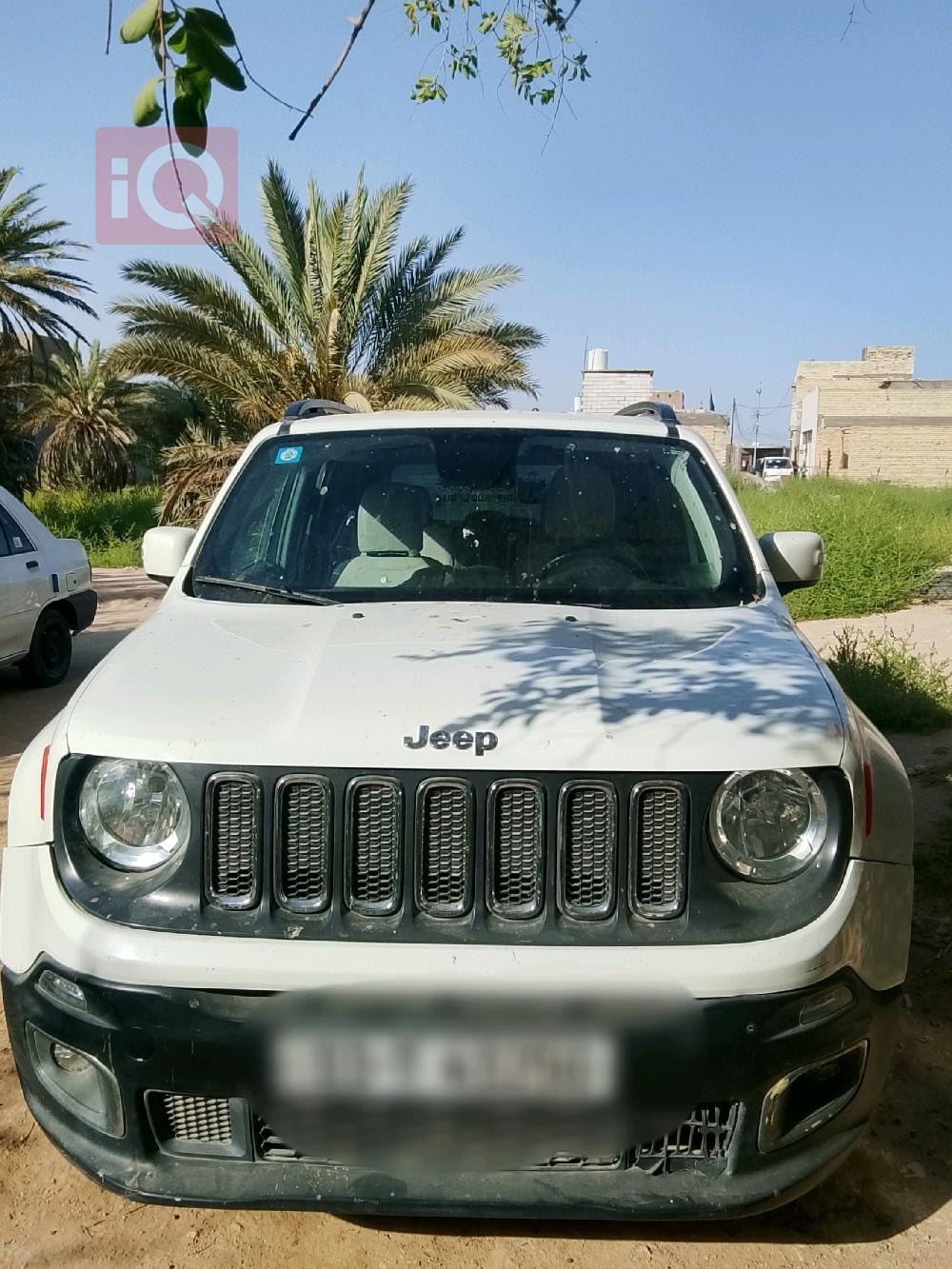 جيب رينيجيد